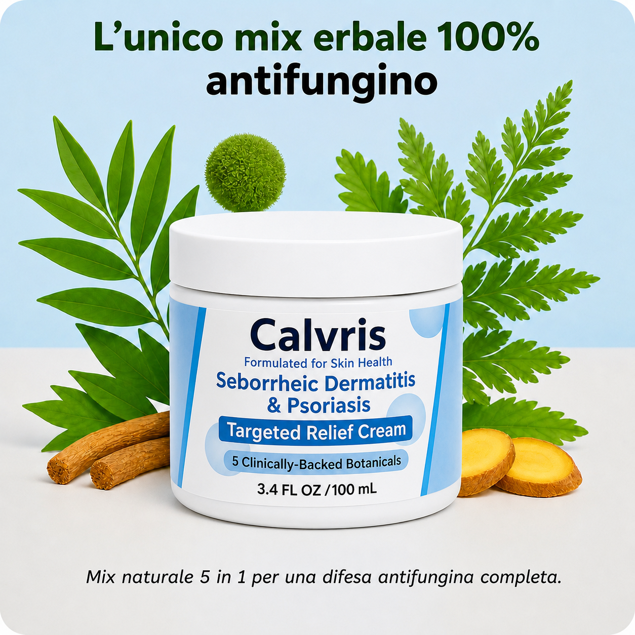 Calvris per Barba